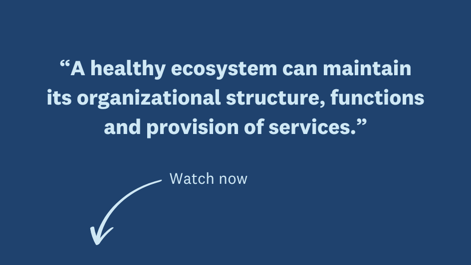 What Is Ecosystem Health United Nations University